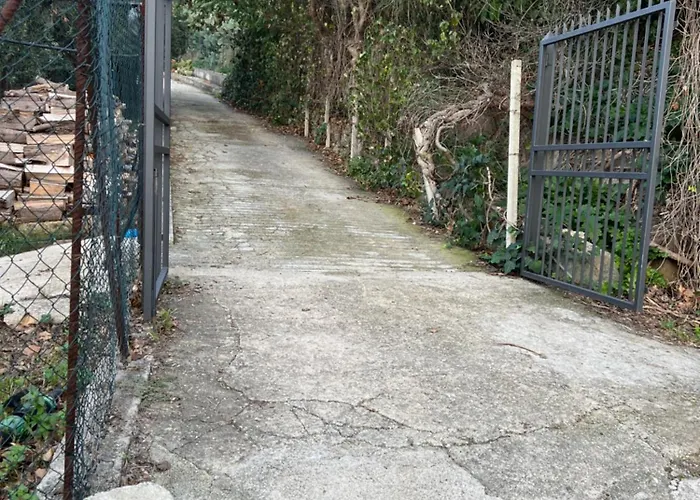 Valentina تْشيفالو