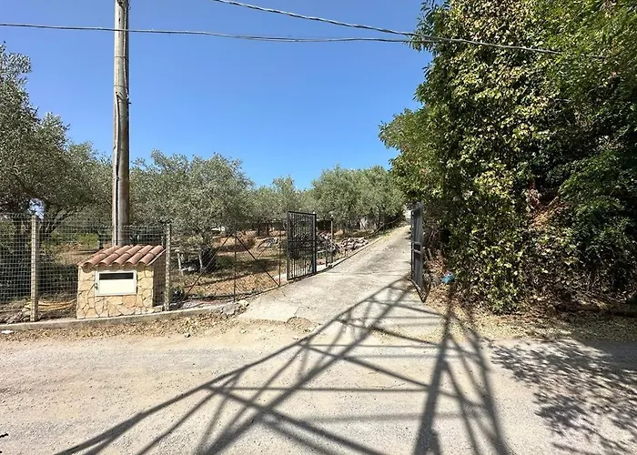 Valentina تْشيفالو